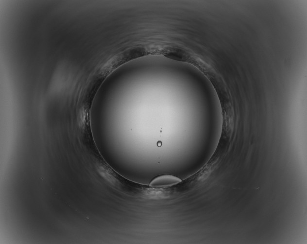 X0000085050574200703051420