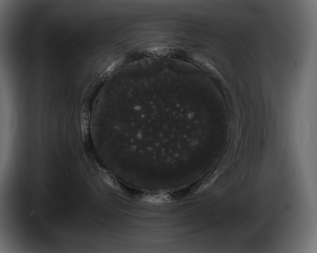 X0000085050576200703051420
