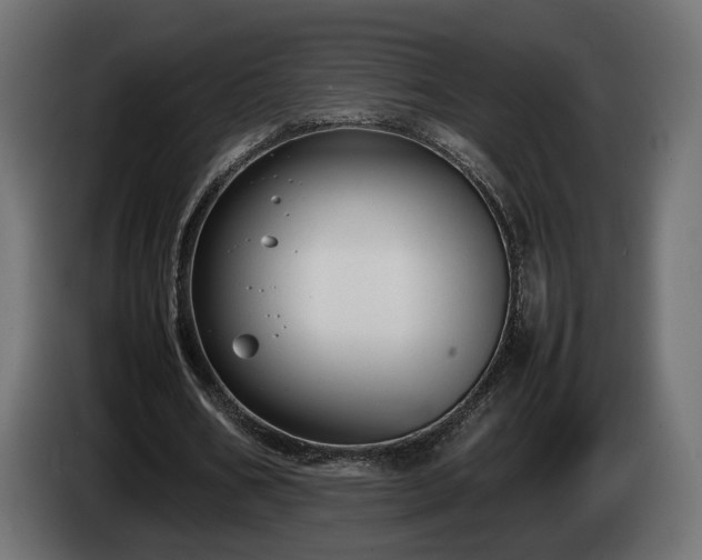 X0000085050578200703051419
