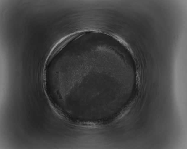 X0000085050580200703051419