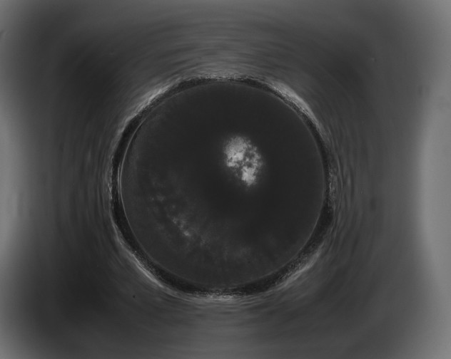 X0000085050581200703051419