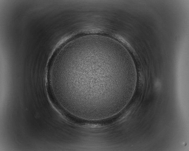 X0000085050582200703051419