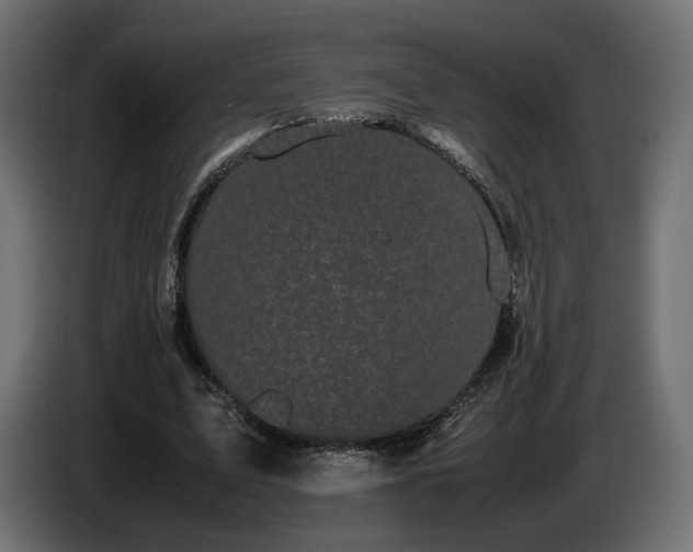 X0000085050583200703051419