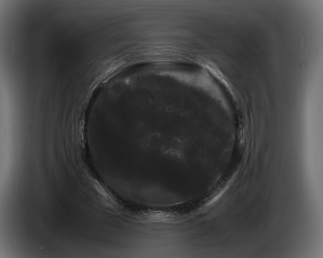 X0000085050585200703051419