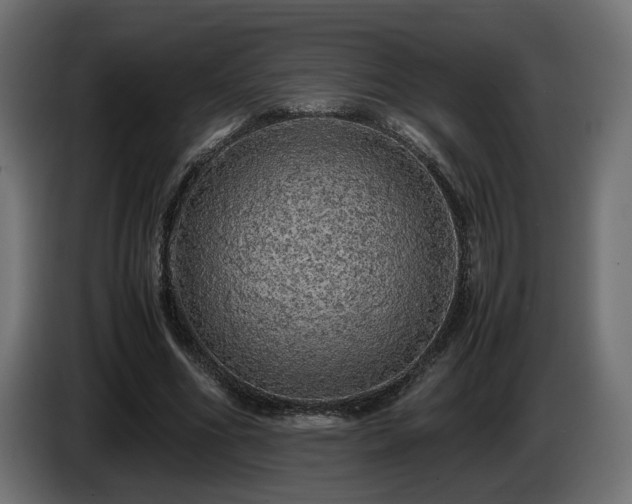 X0000085050586200703051419