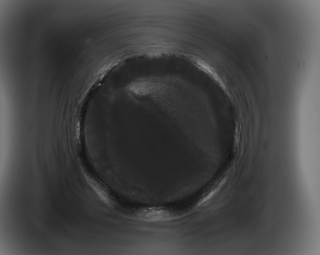 X0000085050589200703051419