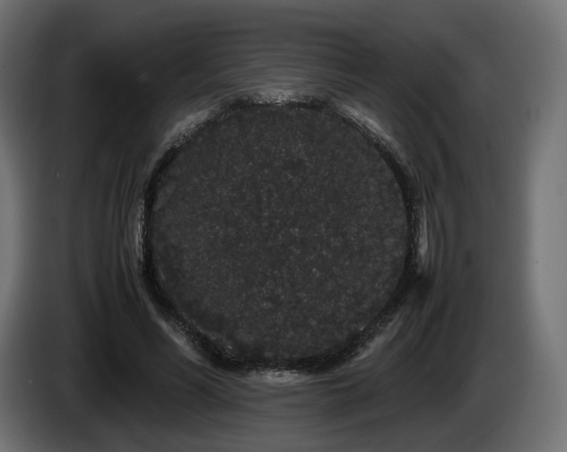 X0000085050590200703051419