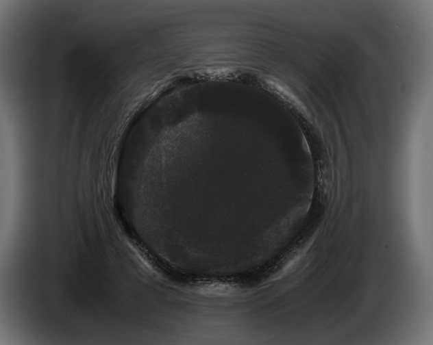 X0000085050593200703051419