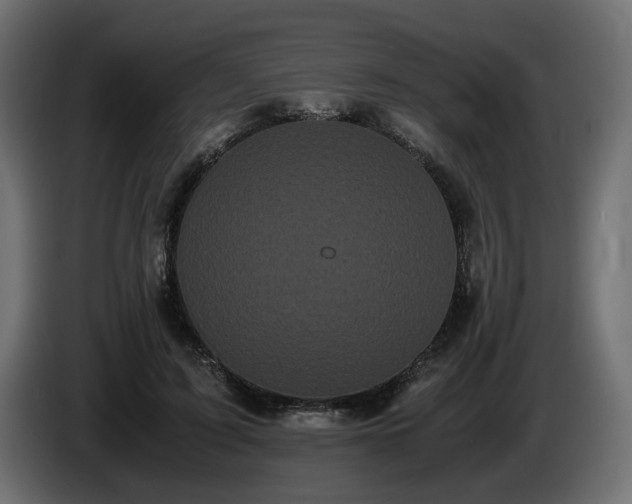 X0000085050595200703051419