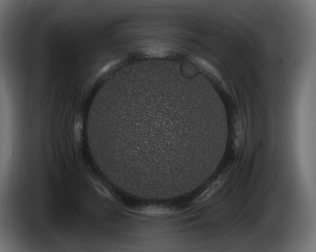 X0000085050596200703051419