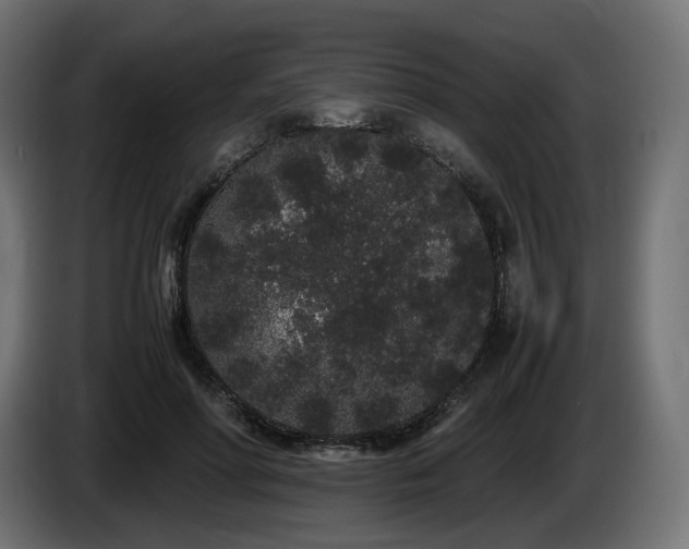 X0000085050598200703051419