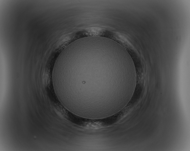 X0000085050599200703051419