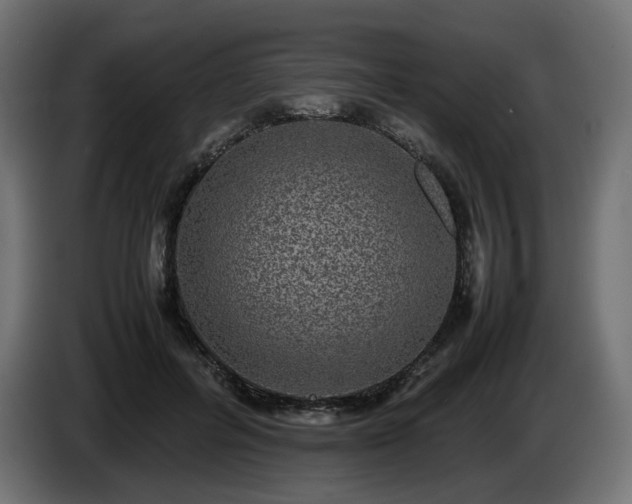 X0000085050600200703051419