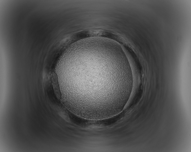 X0000085050601200703051419