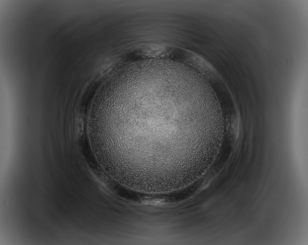 X0000085050602200703051419