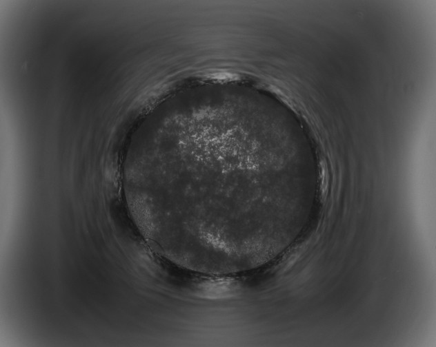X0000085050609200703051418