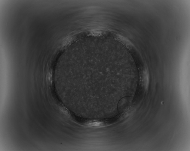 X0000085050610200703051418