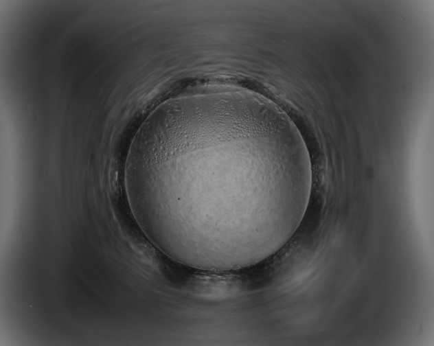 X0000085050615200703051418