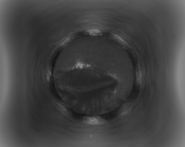X0000085050618200703051418