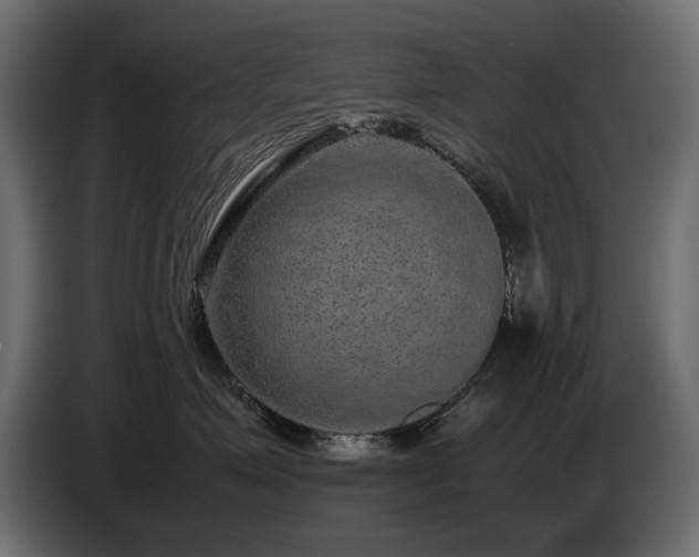 X0000085050623200703051418