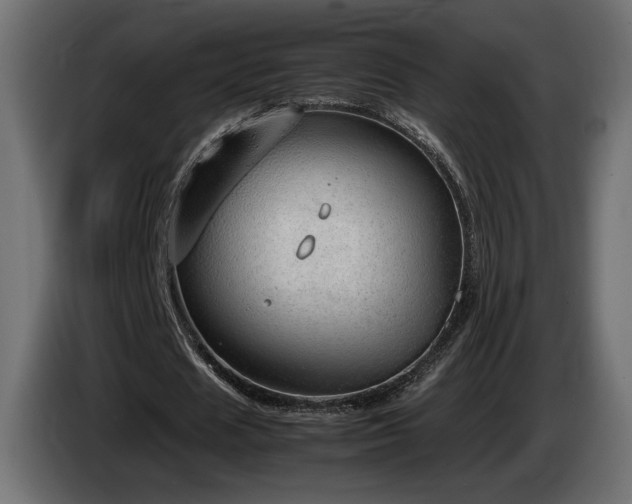 X0000085050625200703051417