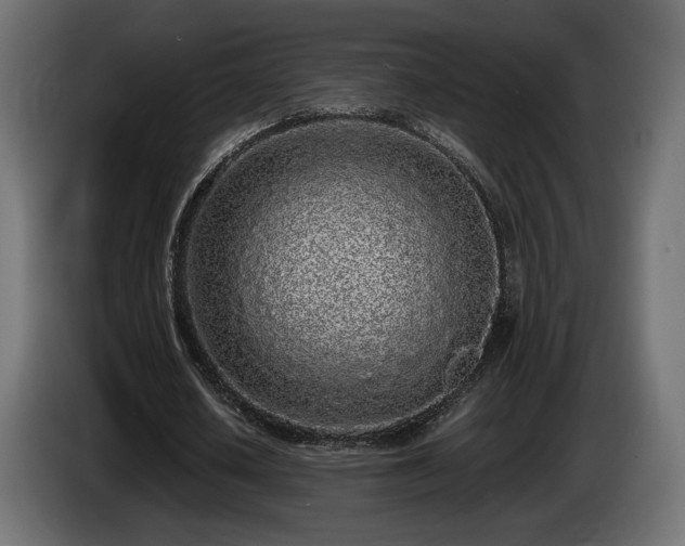 X0000085050626200703051417