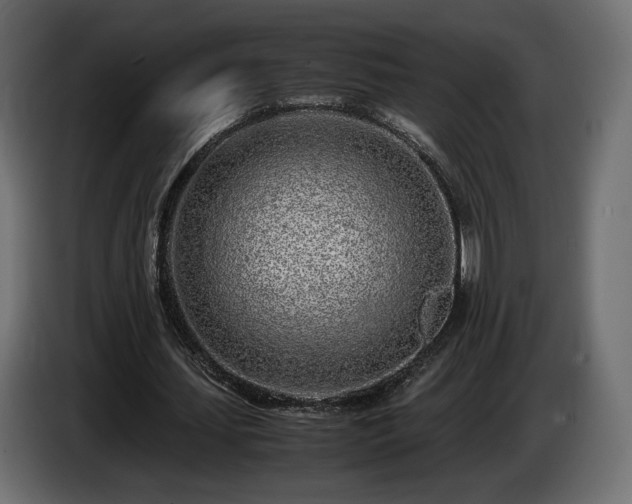 X0000085050627200703051417