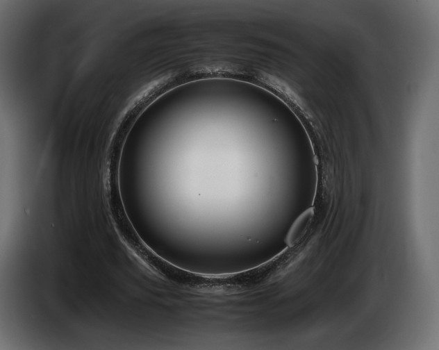 X0000085050629200703051417