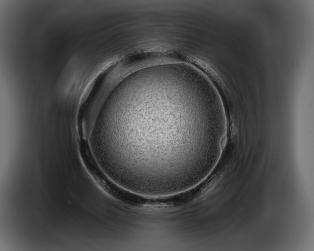 X0000085050630200703051417