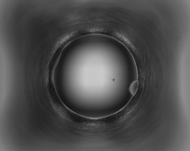 X0000085050631200703051417