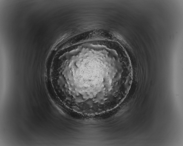 X0000085050634200703051418