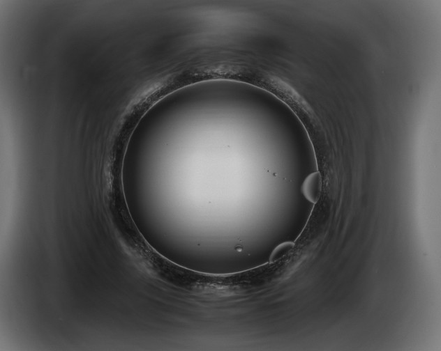 X0000085050635200703051418