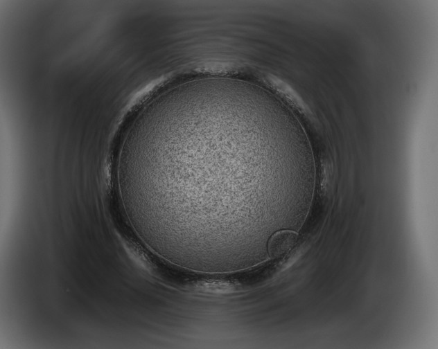 X0000085050636200703051418