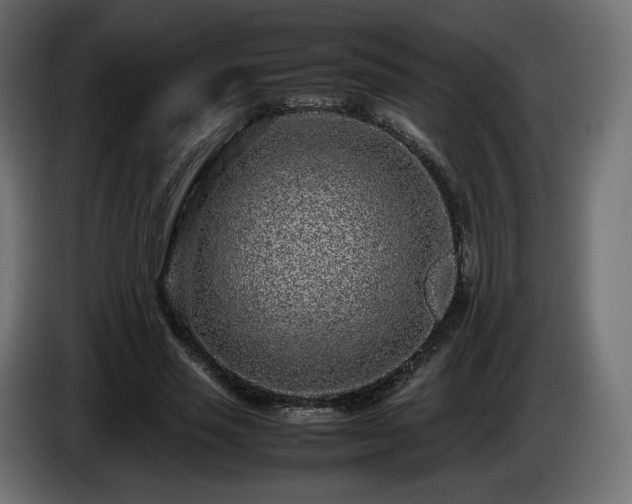 X0000085050637200703051418