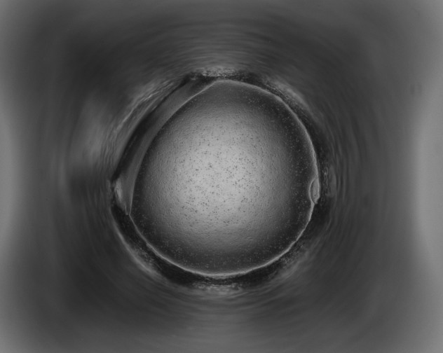 X0000085050638200703051418