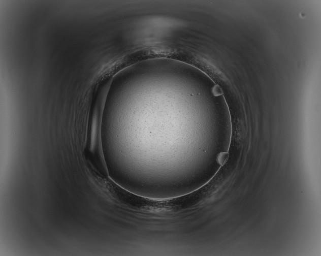 X0000085050639200703051418