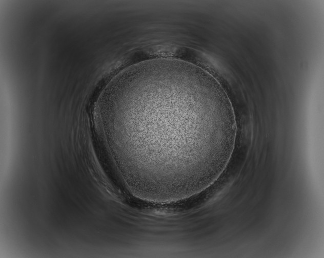 X0000085050641200703051418