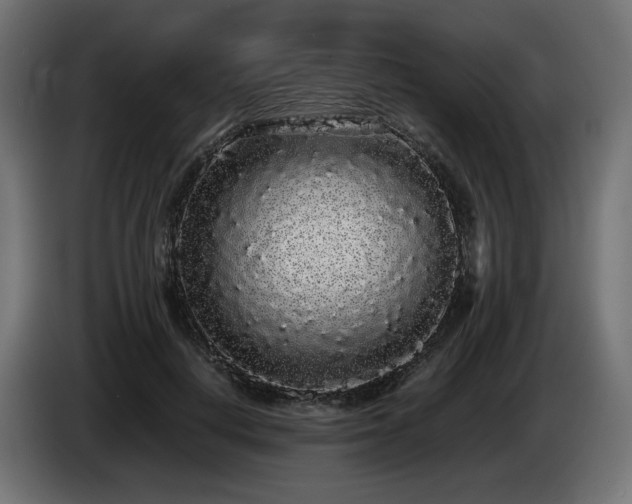 X0000085050648200703051418