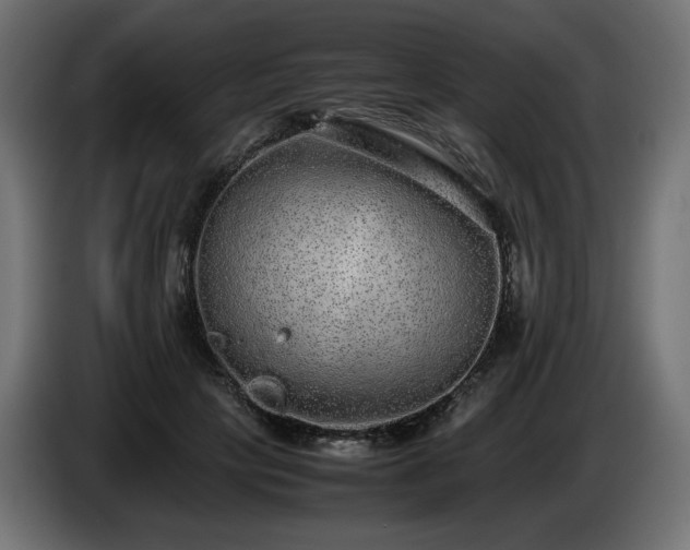 X0000085050649200703051418