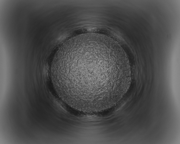 X0000085050650200703051418