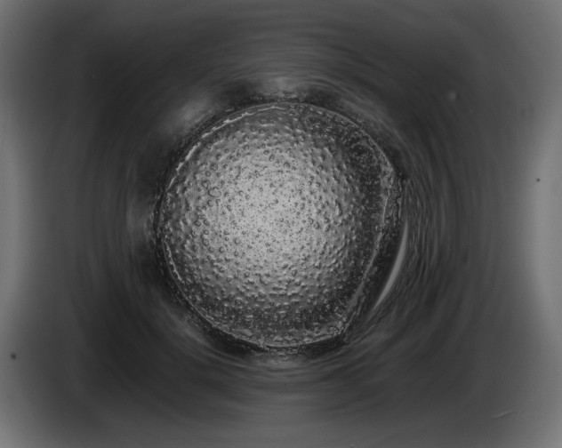 X0000085050652200703051418