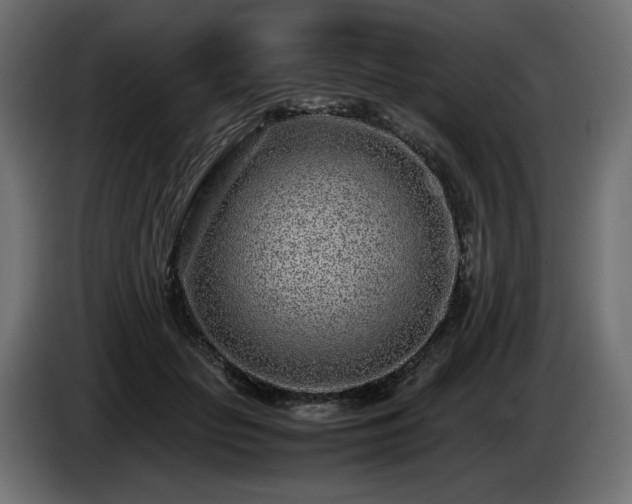 X0000085050653200703051418