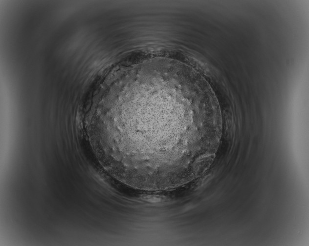 X0000085050654200703051418