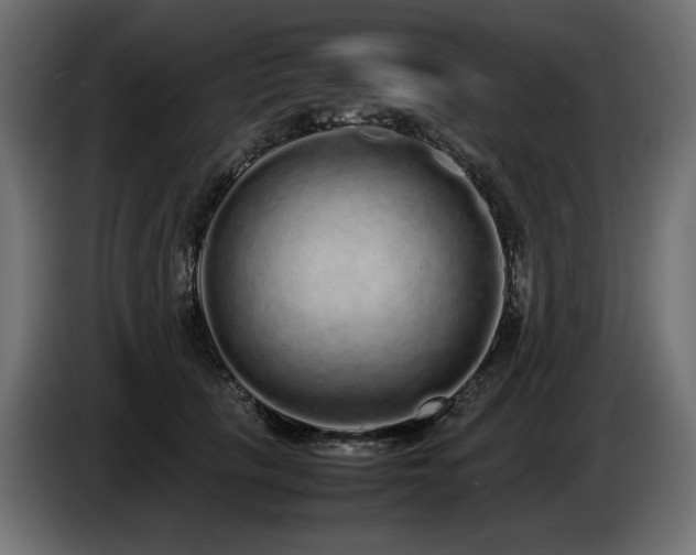 X0000085050657200703051418