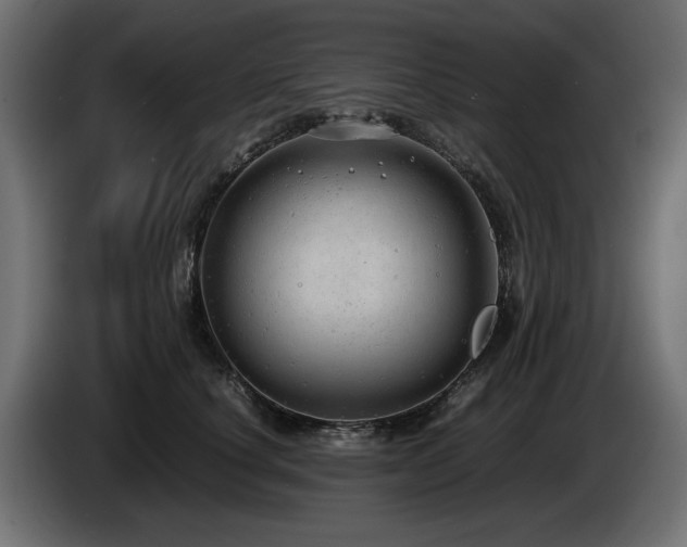 X0000085050660200703051418