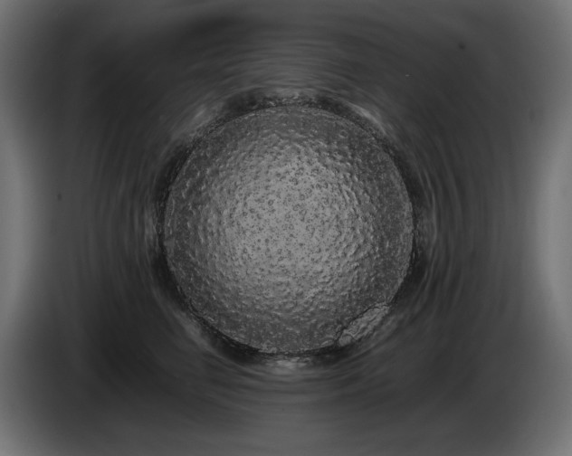 X0000085050662200703051418
