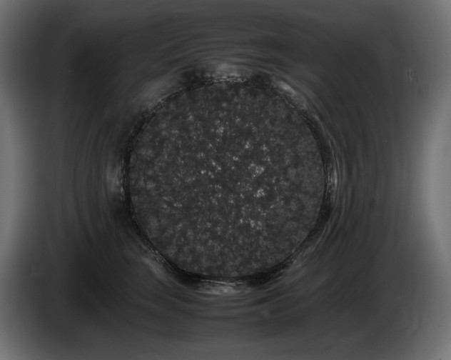 X0000085050663200703051418