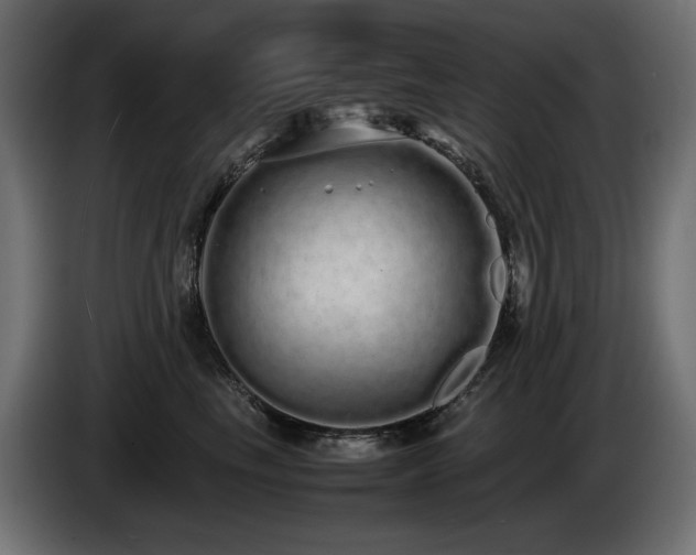 X0000085050665200703051418