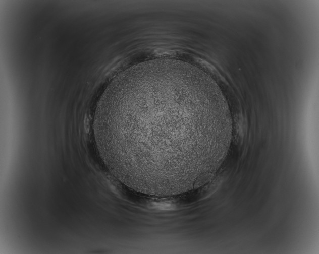 X0000085050667200703051418