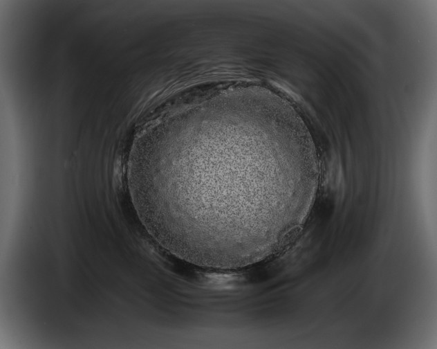 X0000085050669200703051418